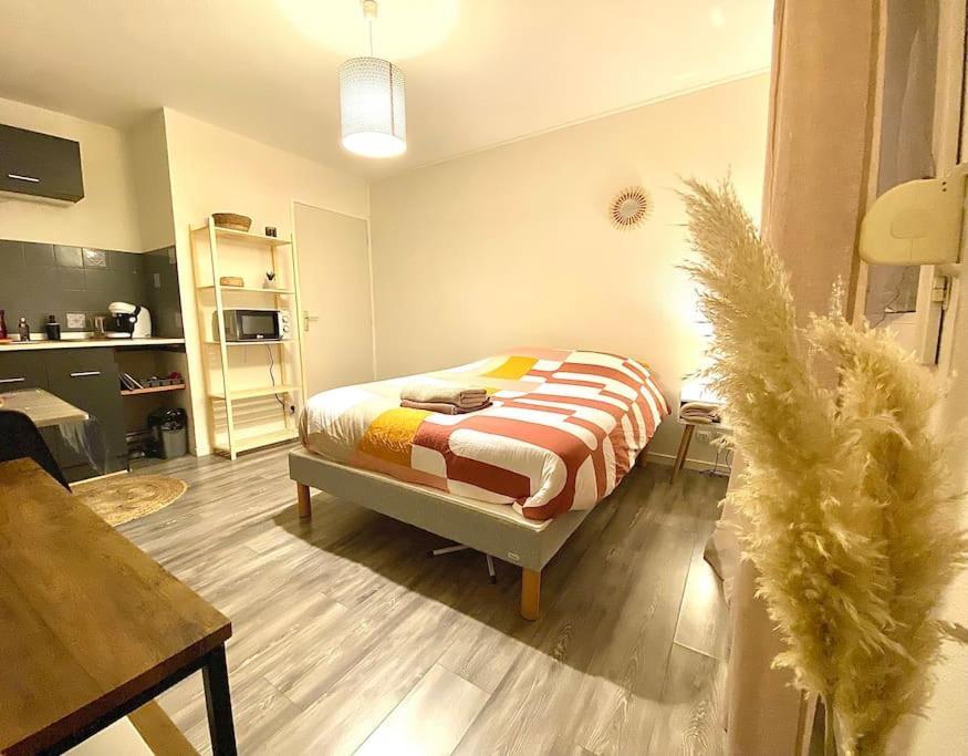 Au Calme Confort & Proche Centre Διαμέρισμα Λε Μανς Εξωτερικό φωτογραφία